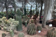IMG 5140