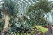 IMG 5141