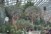 IMG 5142