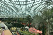 IMG 5144