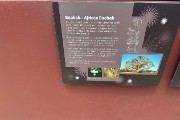 IMG 5151