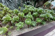 IMG 5156