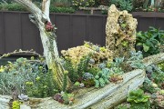 IMG 5167