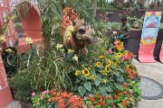 IMG 5170