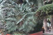 IMG 5179