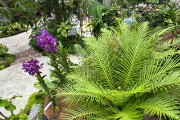 IMG 5367