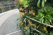 IMG 5382