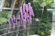 IMG 5396
