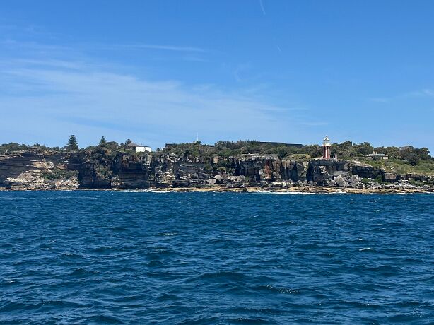 Whale Watching Excursion