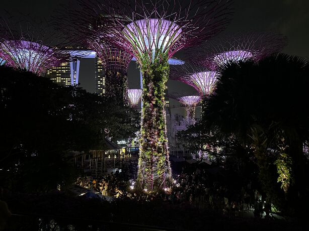 Singapore Supertree Grove Light Show