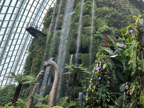 Singapore Cloud Forest