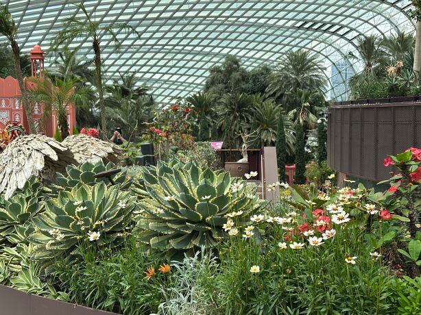 Singapore Flower Dome