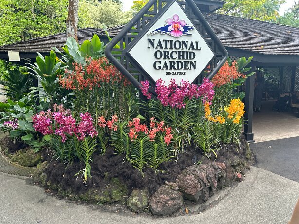 Singapore Botanic Gardens